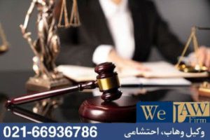 نقش وکیل ملکی در خیار تدلیس
