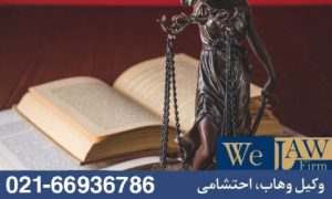 طرح خواستههای مبهم و تاثیر آن بر اشتباهات خواهان در دعاوی ملکی